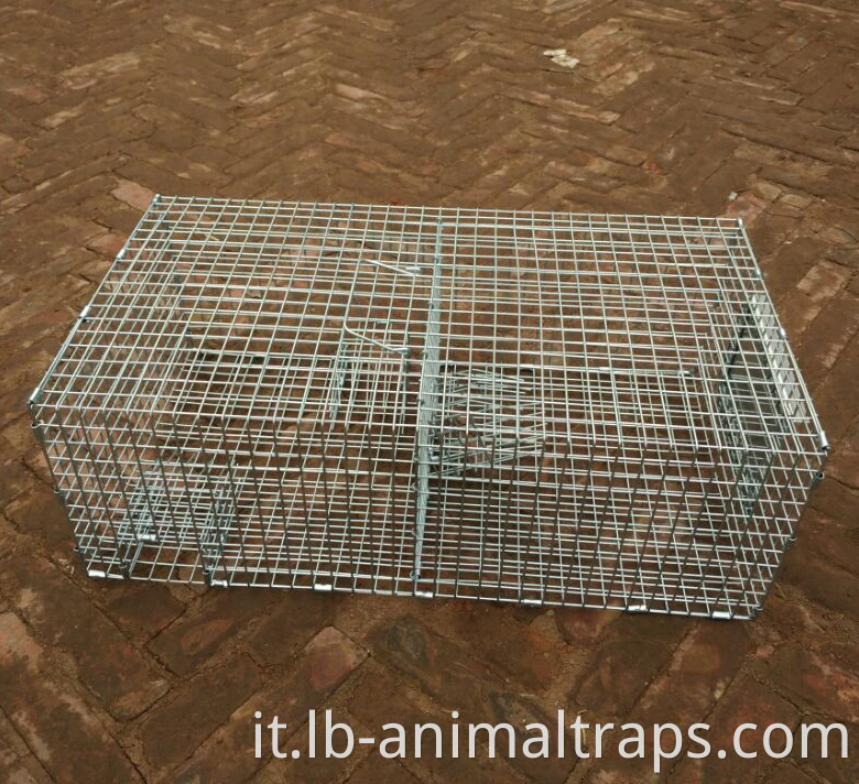 Repeating Control Trap Wire Cage